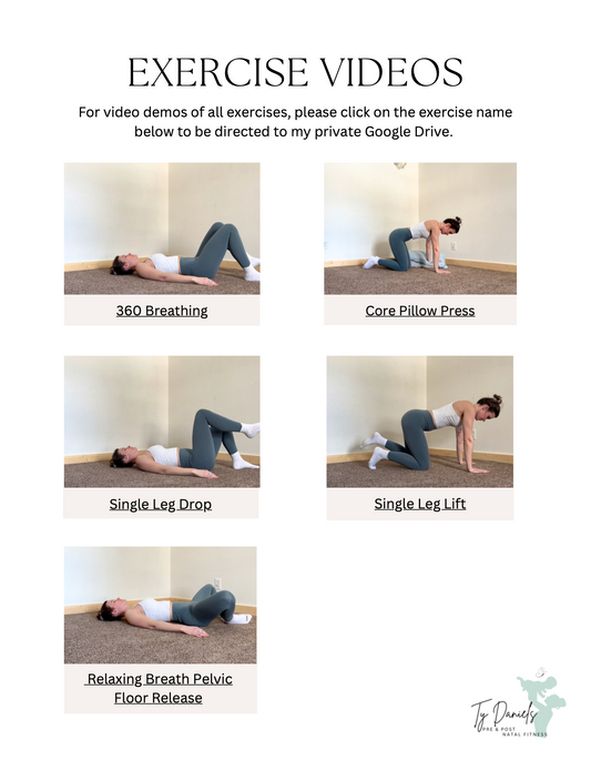 Pregnancy & Postpartum Core Reset Guide